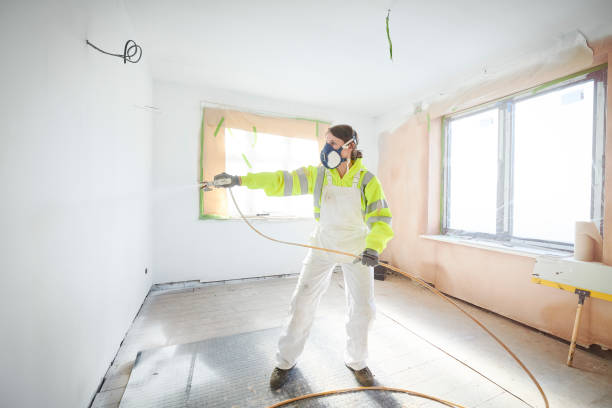 Best Attic Mold Removal  in Prudhoe Bay, AK