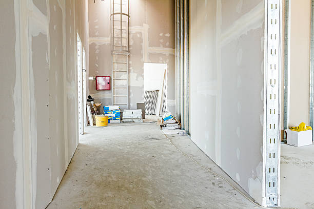 Best Mold Remediation for Rental Properties  in Prudhoe Bay, AK