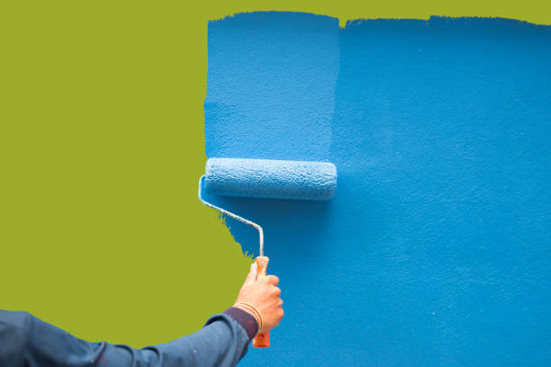 Best Basement Mold Removal  in Prudhoe Bay, AK
