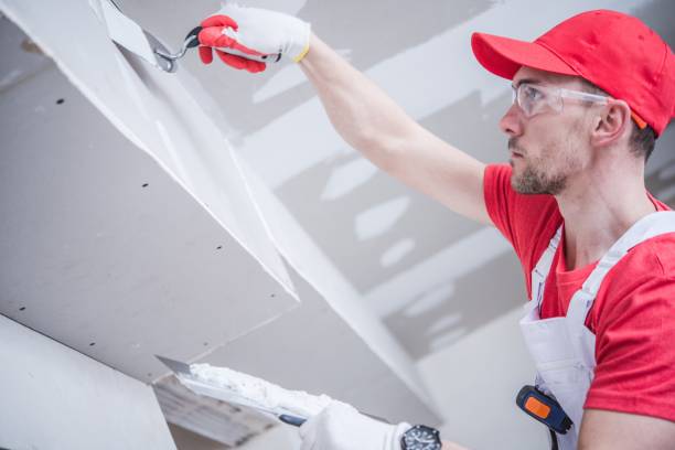 Best Real Estate Mold Inspection  in Prudhoe Bay, AK